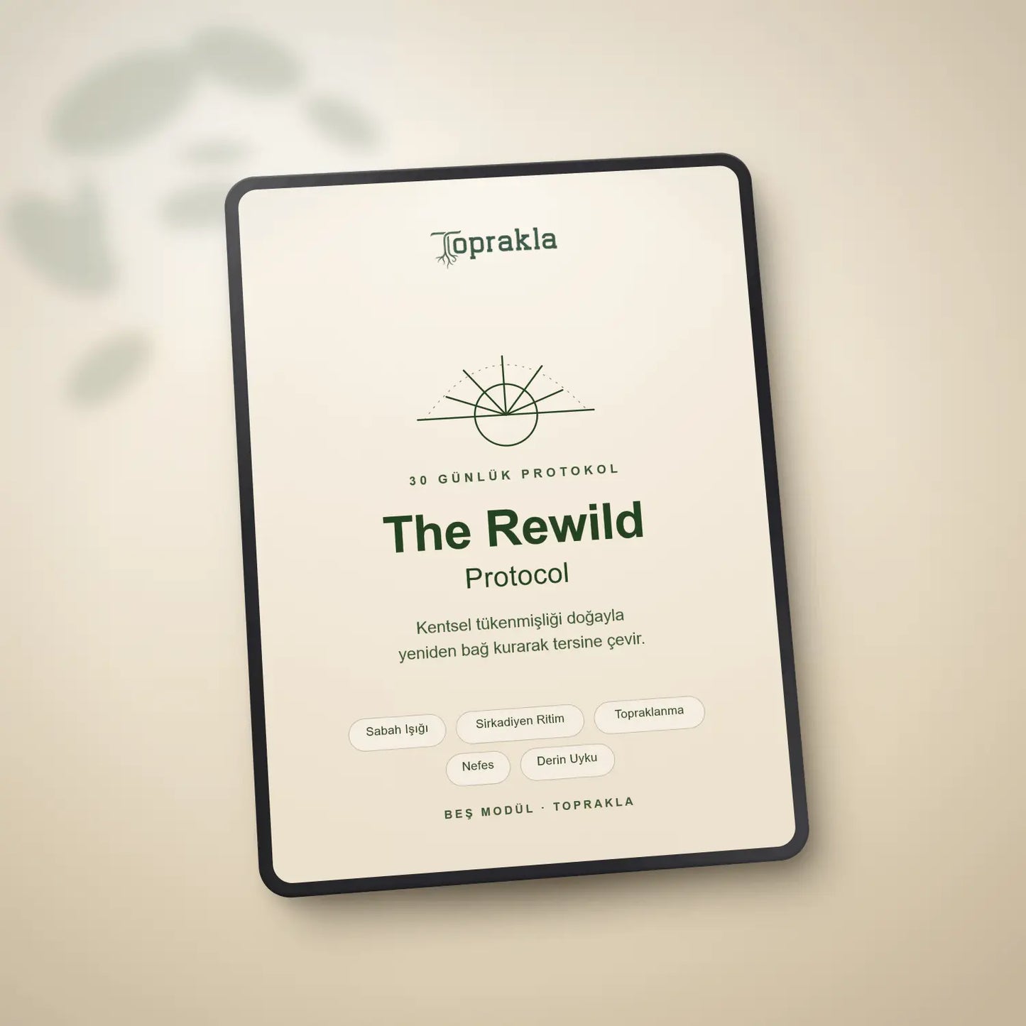 Rewild Protocol