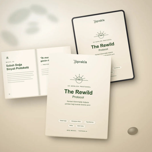 Rewild Protocol